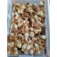 380混合苗 紅羽王公雞苗 農業(yè)散養(yǎng)家禽